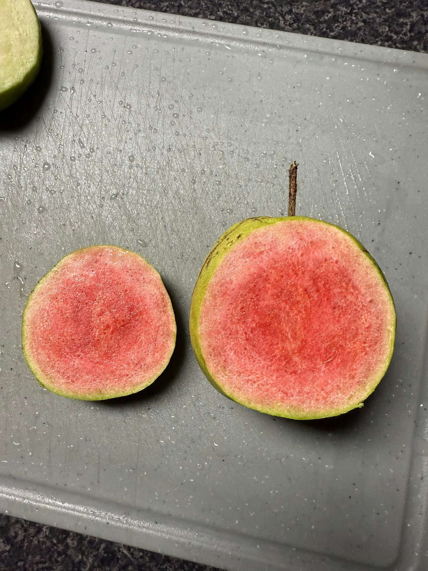 Guava Hawaiian - Ruby