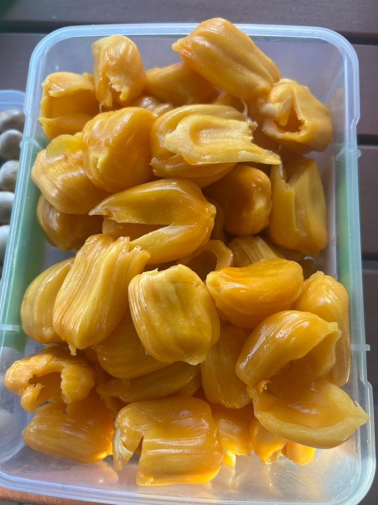 Jackfruit Grafted - Amber