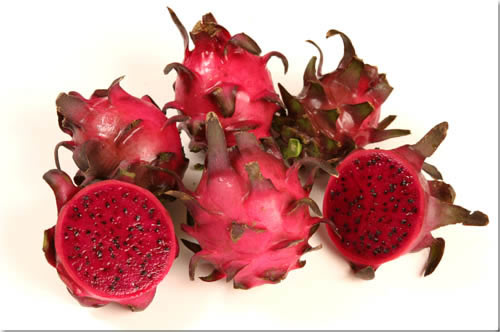 Neon dragon fruit