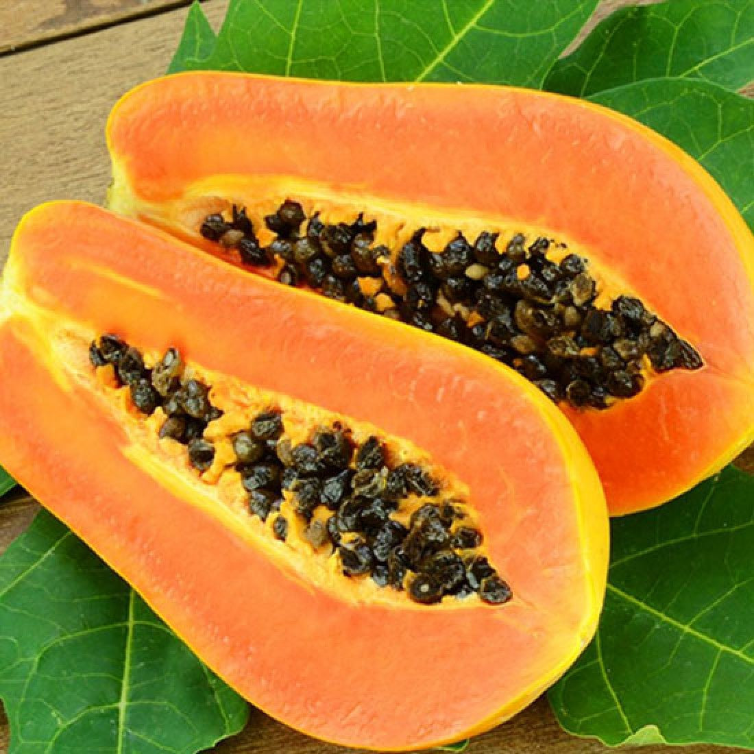 Papaya - Sunrise solo hybrid Bi Sexual