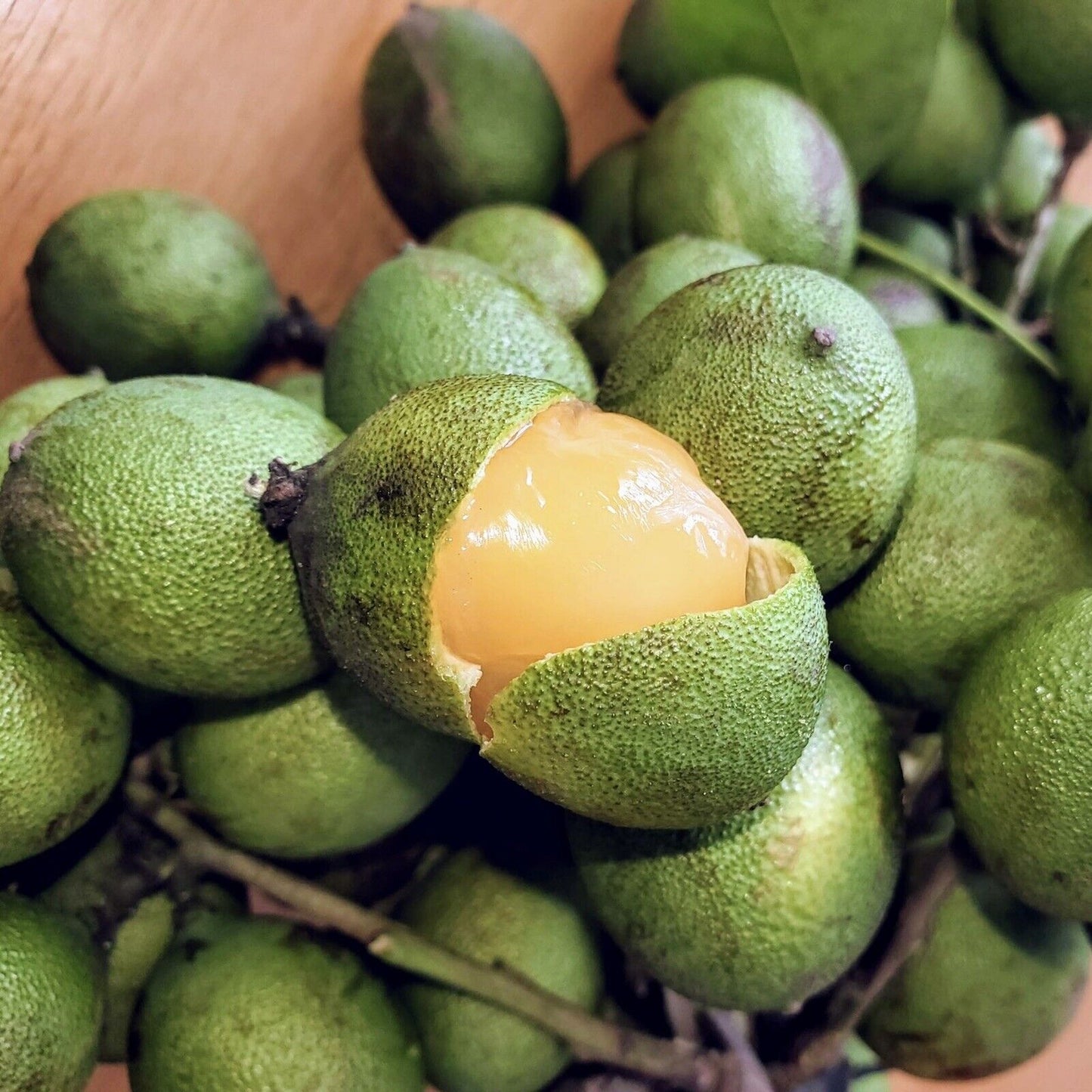 Spanish Lime - Mamoncillo 2l