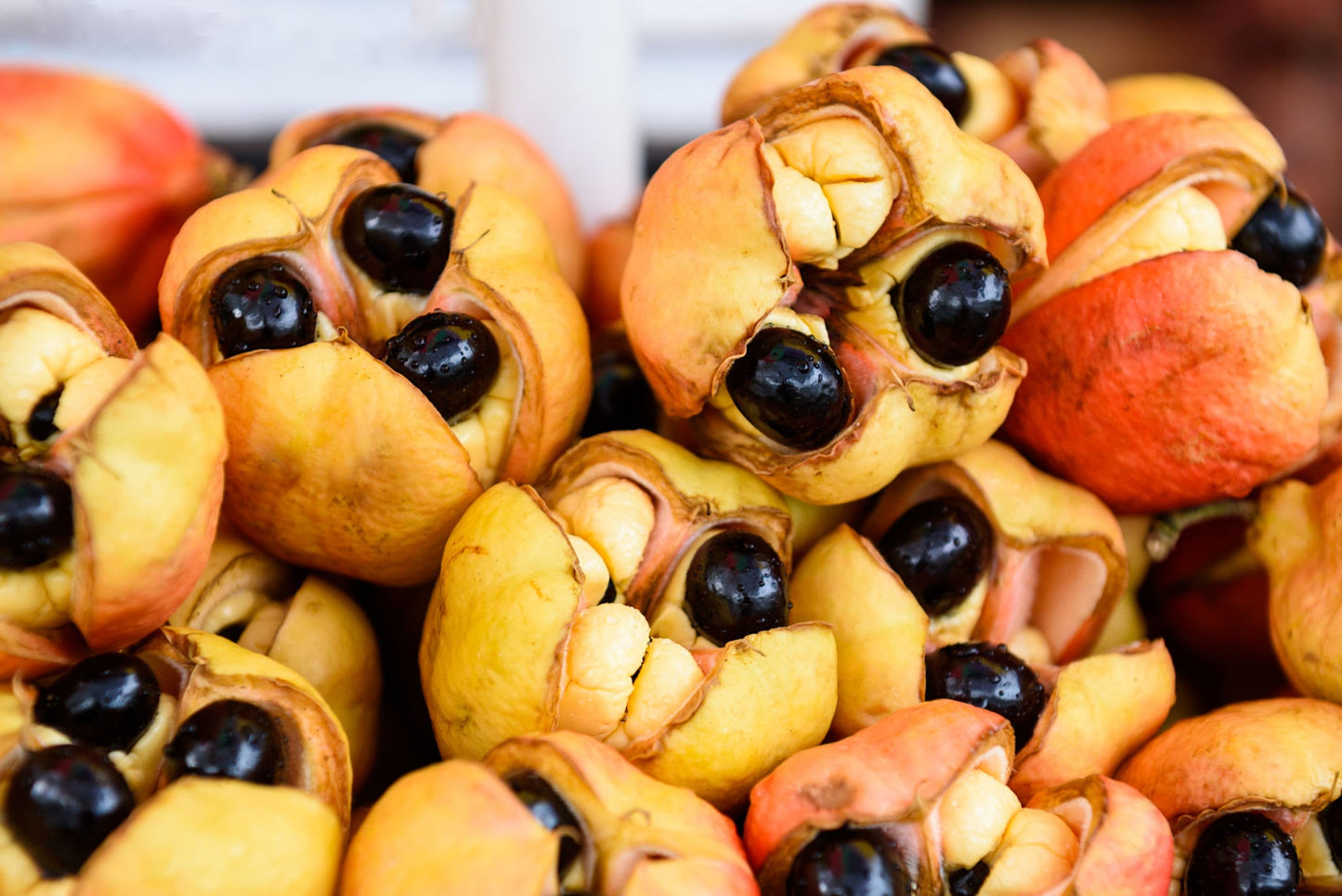 Akee