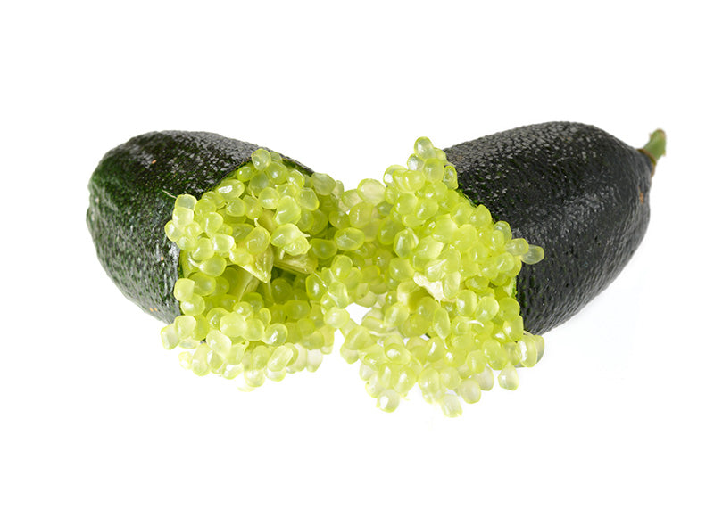 Finger lime Alstonville CUTTING (QLD ONLY) 90MM