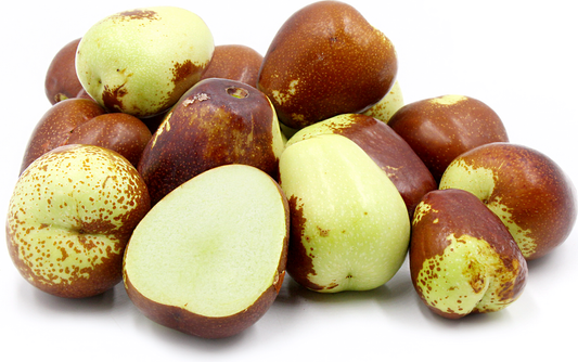 Jujube - Lang - Large
