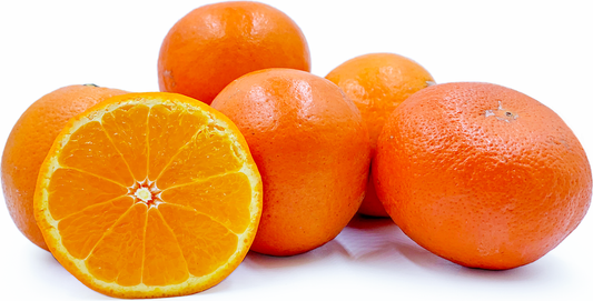 Dwarf Tangelo - Seminole QLD ONLY