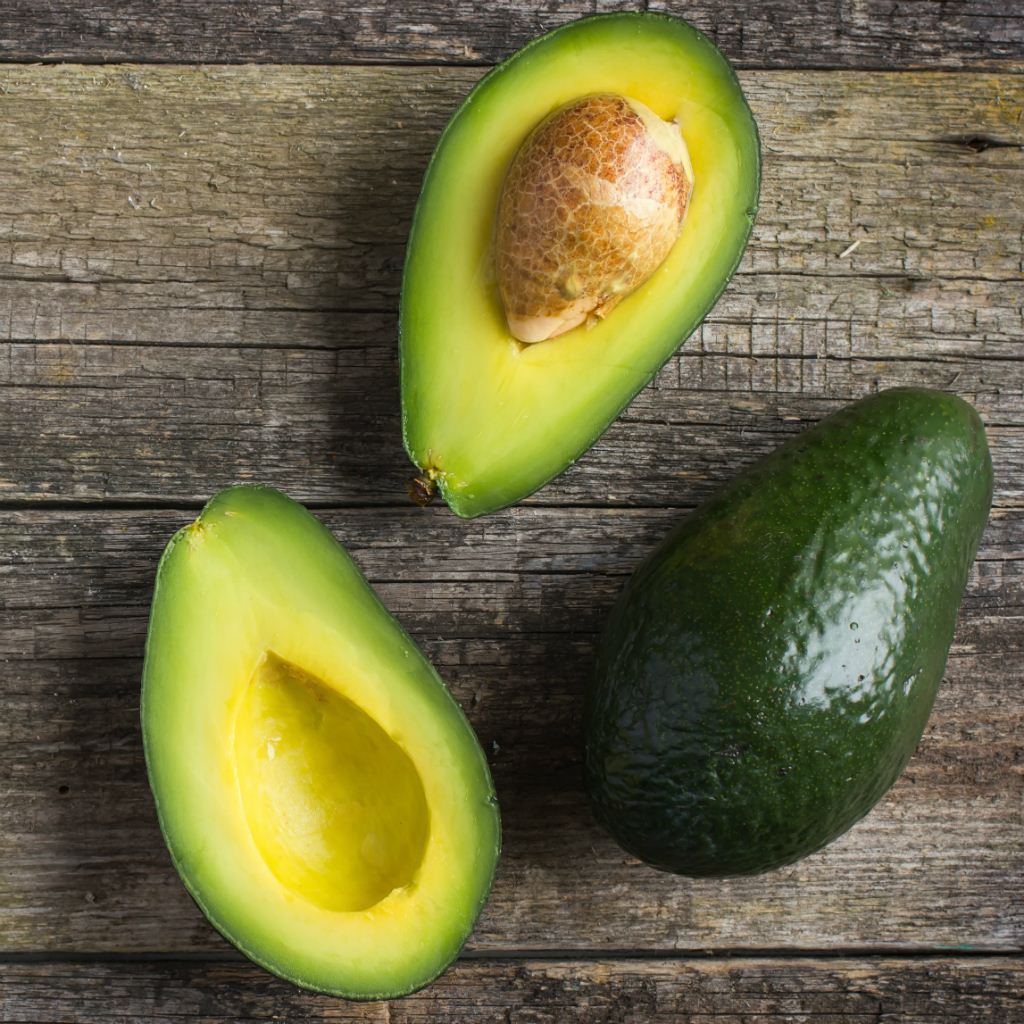 Avocado Semi Dwarf - Shepard (B Type) 5L