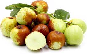 Jujube - SiHong Large