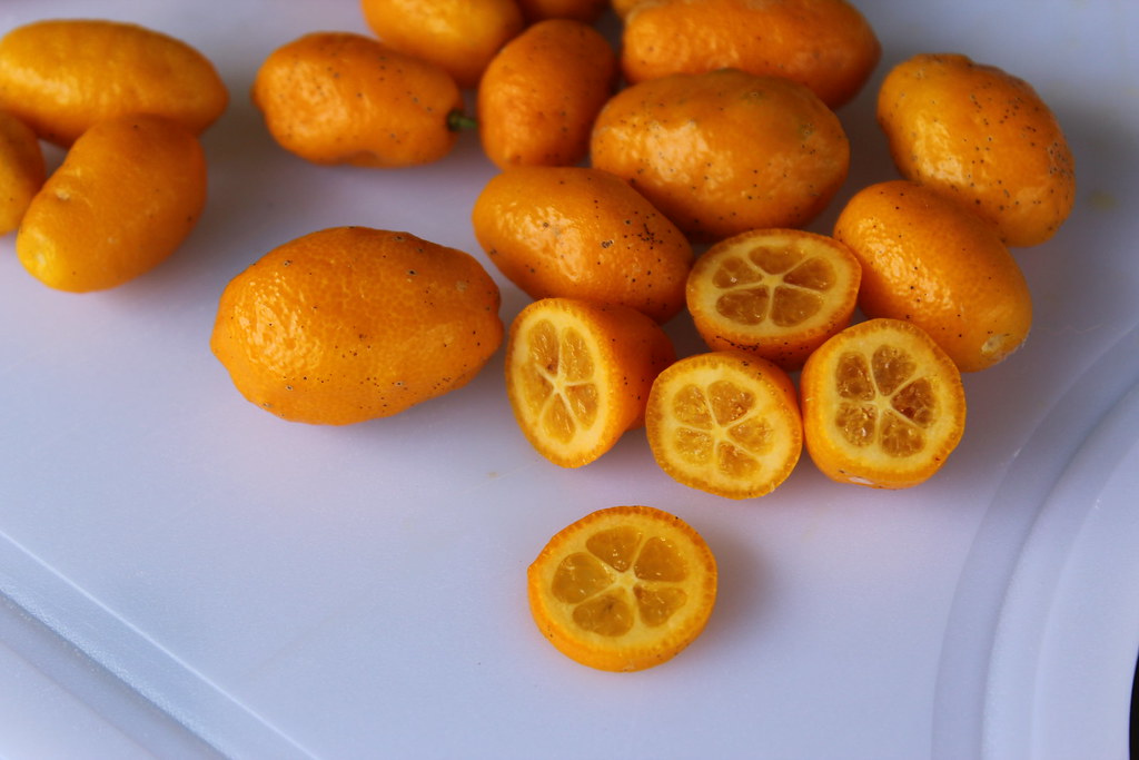 Sunrise Lime (QLD ONLY)