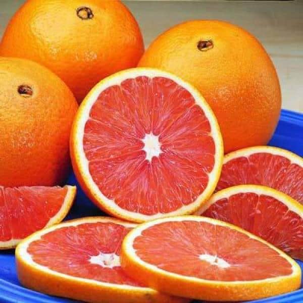 DWARF- Orange Cara Cara (Qld only)