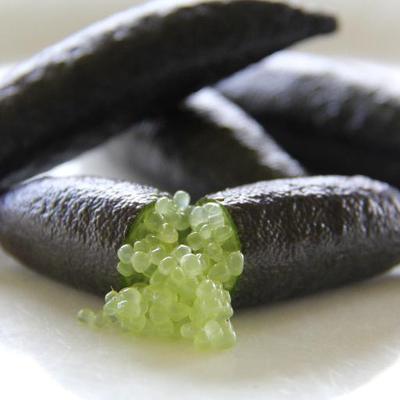 Finger lime Chartreuse Cutting 90mm (Qld only)