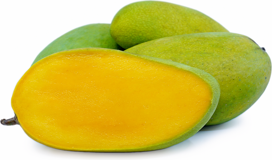 Mango - Elephant Xoai Tuong
