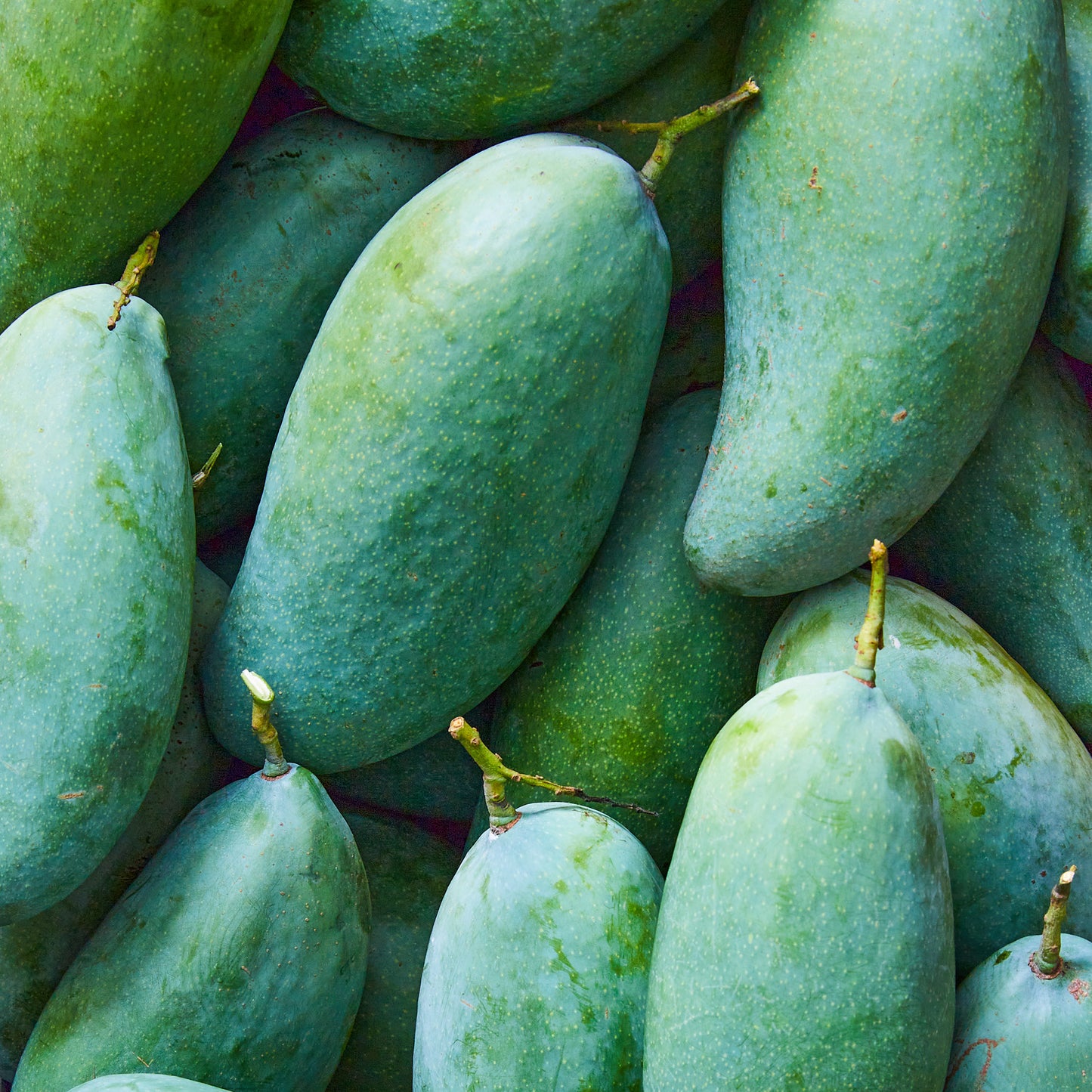 Mango - Khiew Sawoey