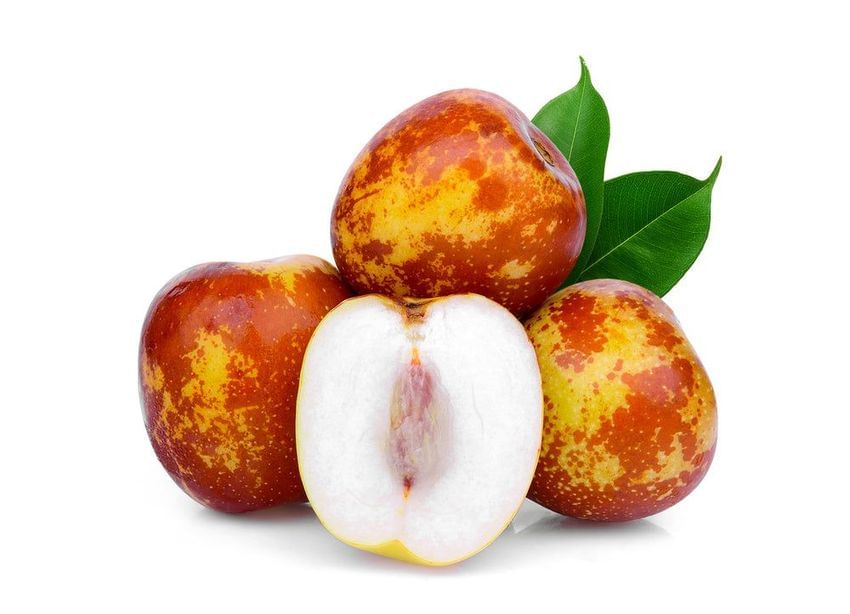 Jujube - Shanx Li Large ( Bare Root )