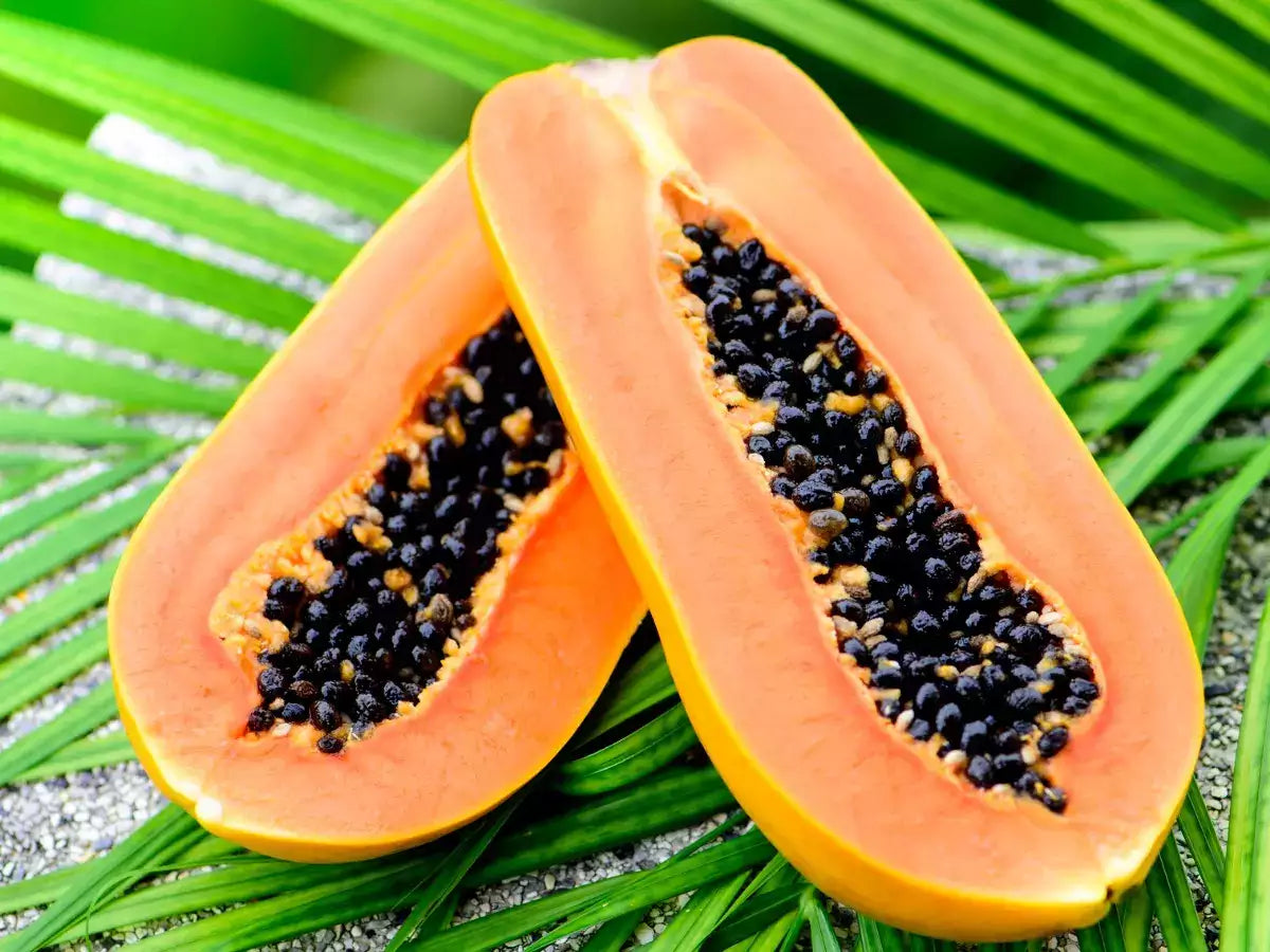 Papaya