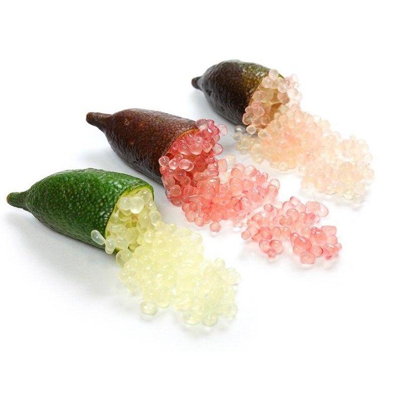 Finger lime