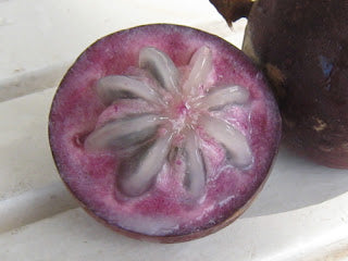 Star Apple