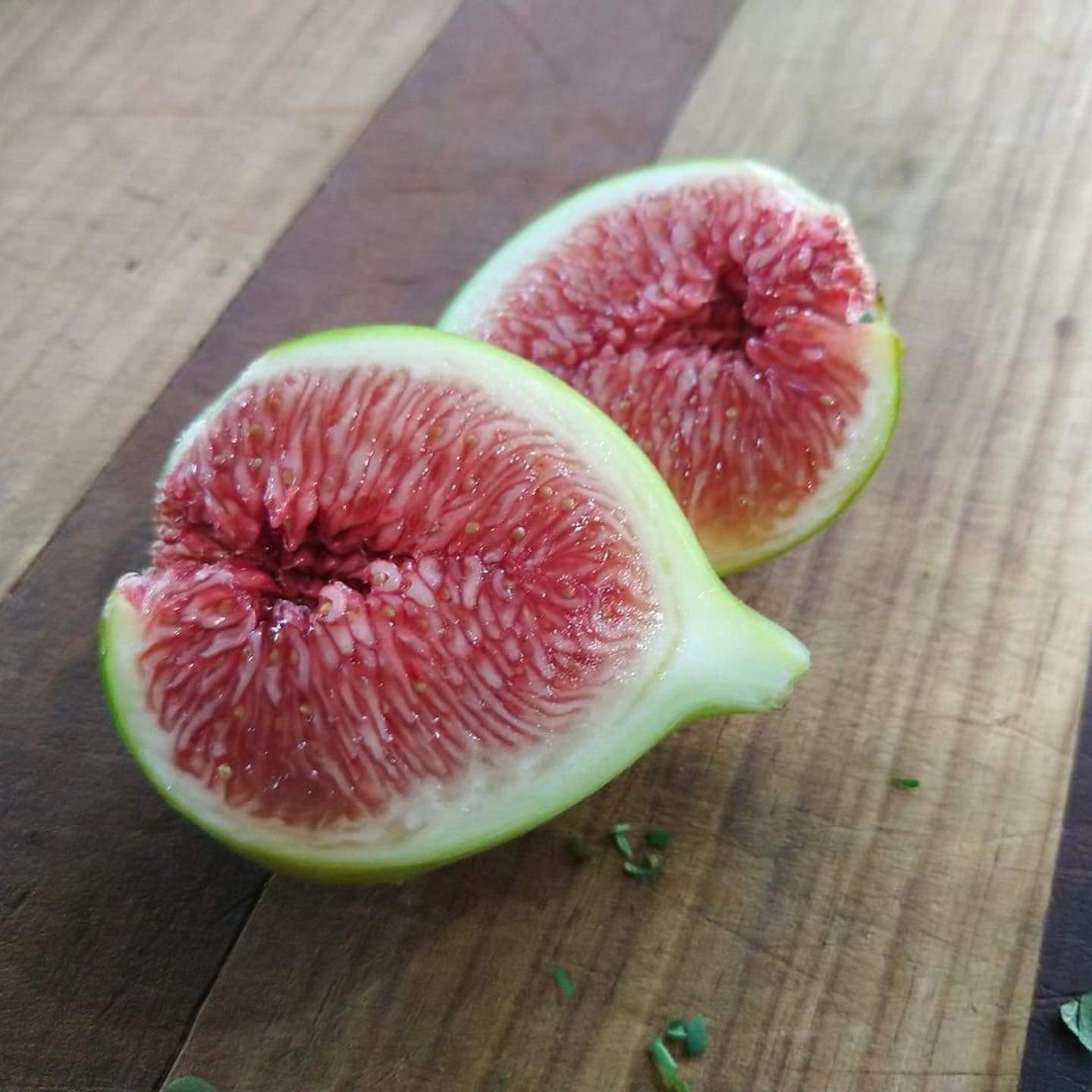 Fig