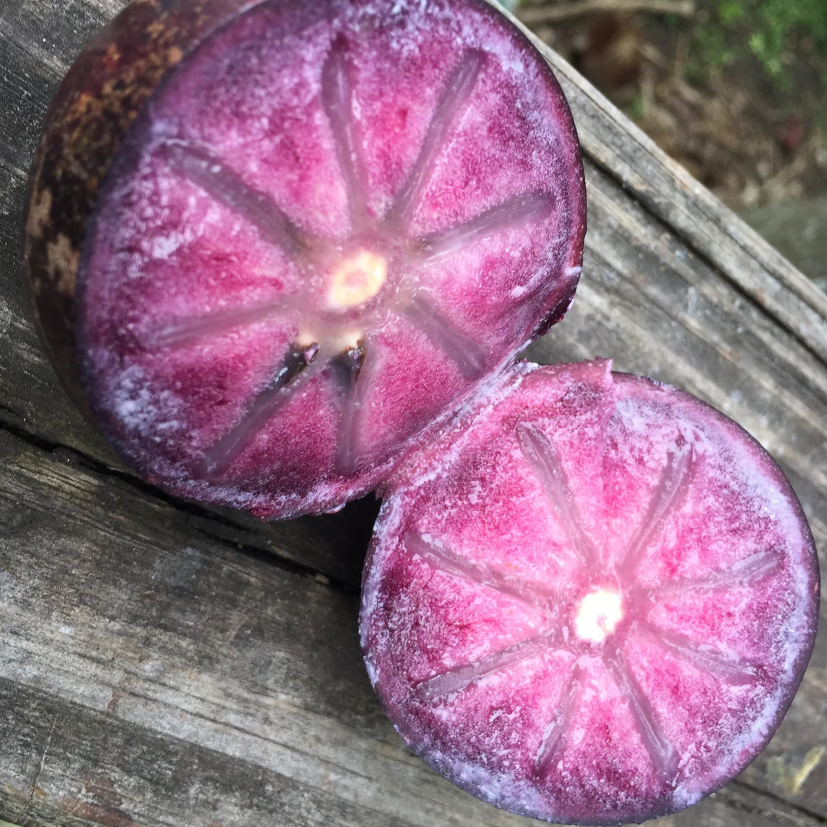 Star apple Weeping Grafted