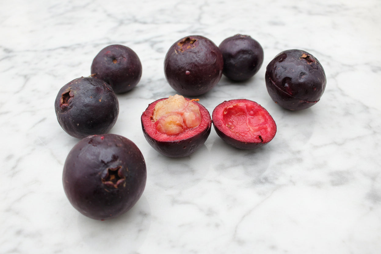 Purple Rainforest Guava Psidium eugeniaefolia