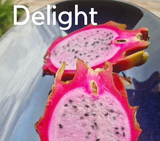 Dragon fruit - Delight