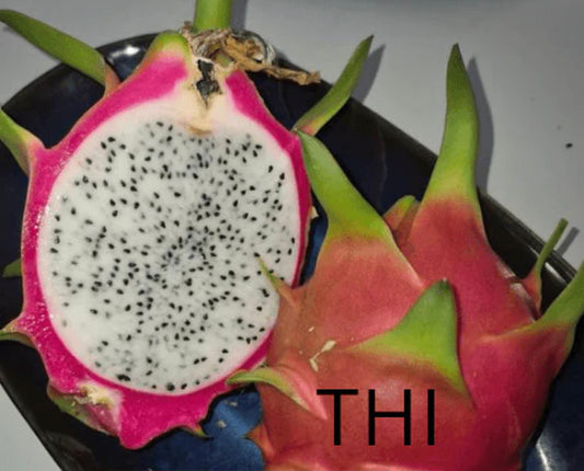 Dragon fruit - Thi