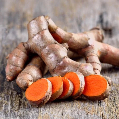 Turmeric - Orange 90mm