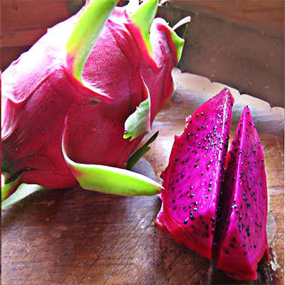 Dragon fruit - American Beauty