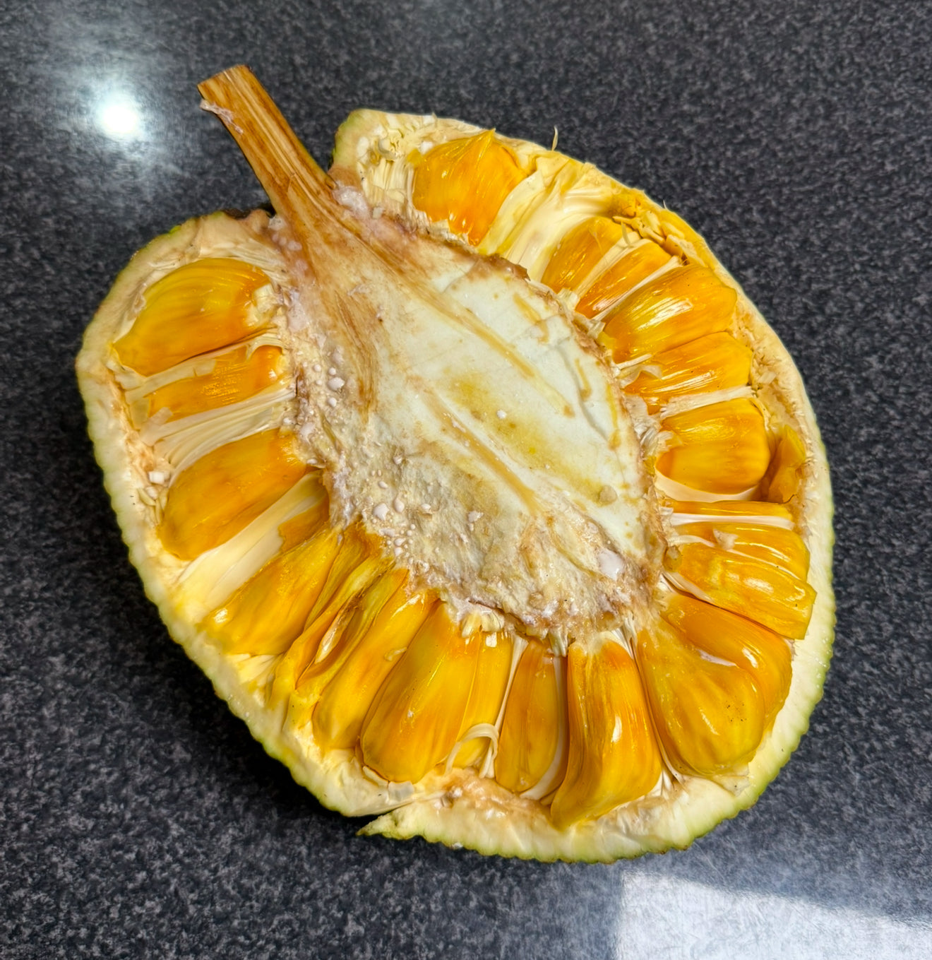 Jackfruit Grafted - Berry
