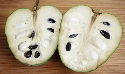 Cherimoya - Sofia
