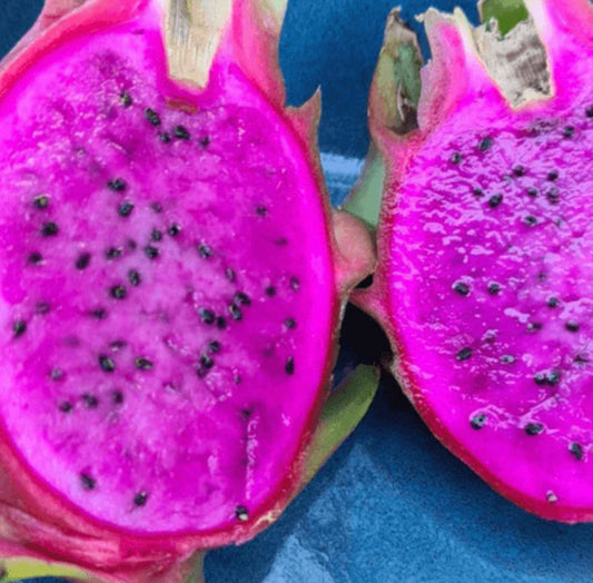 Dragon fruit - Purple Haze