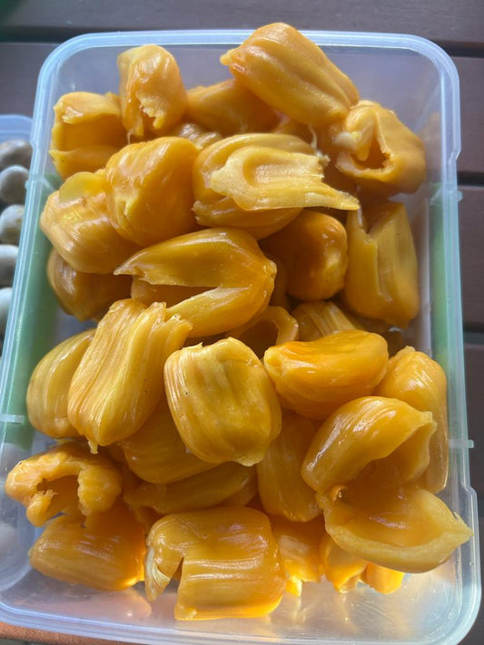 Jackfruit Grafted - Amber