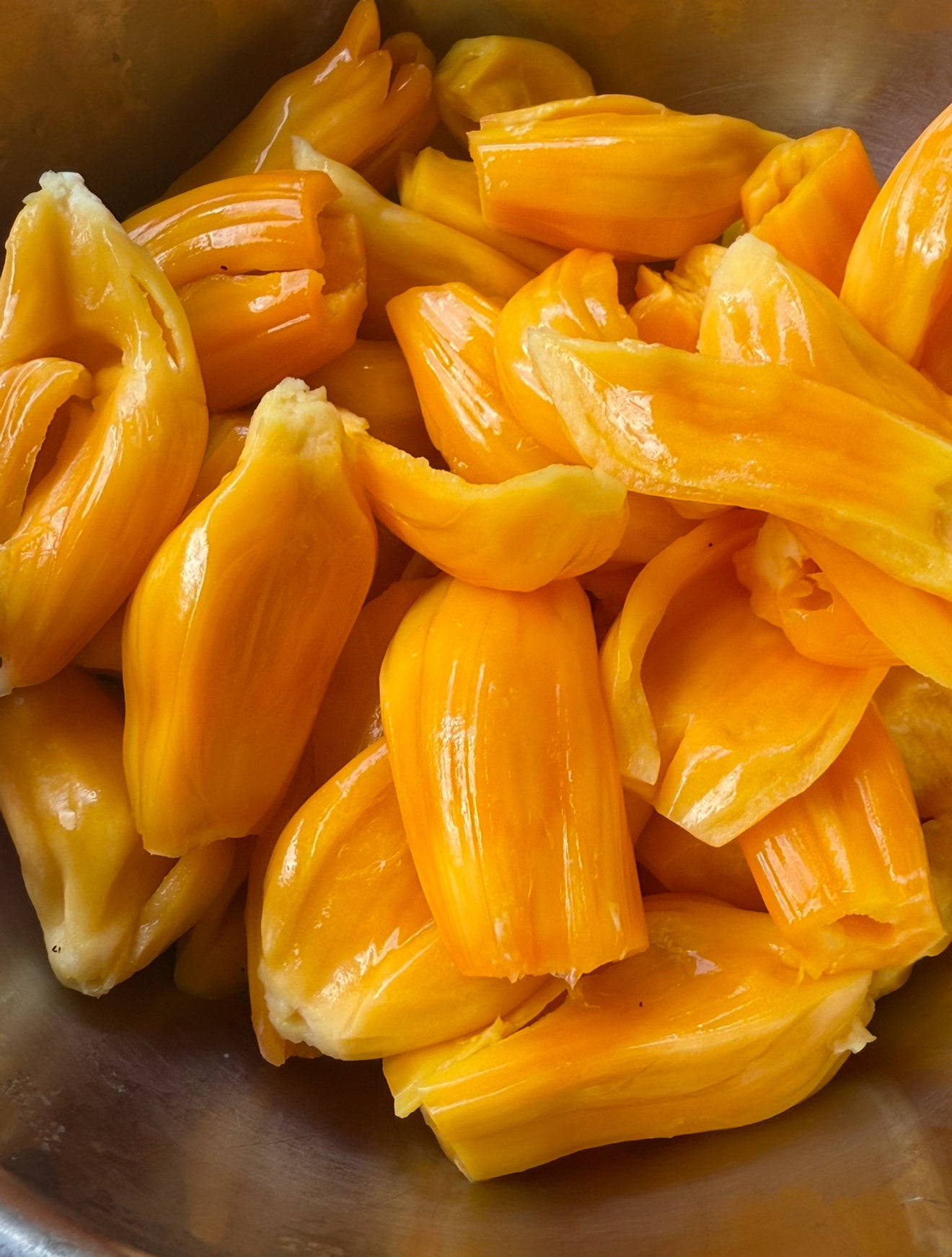 Jackfruit Grafted - Berry