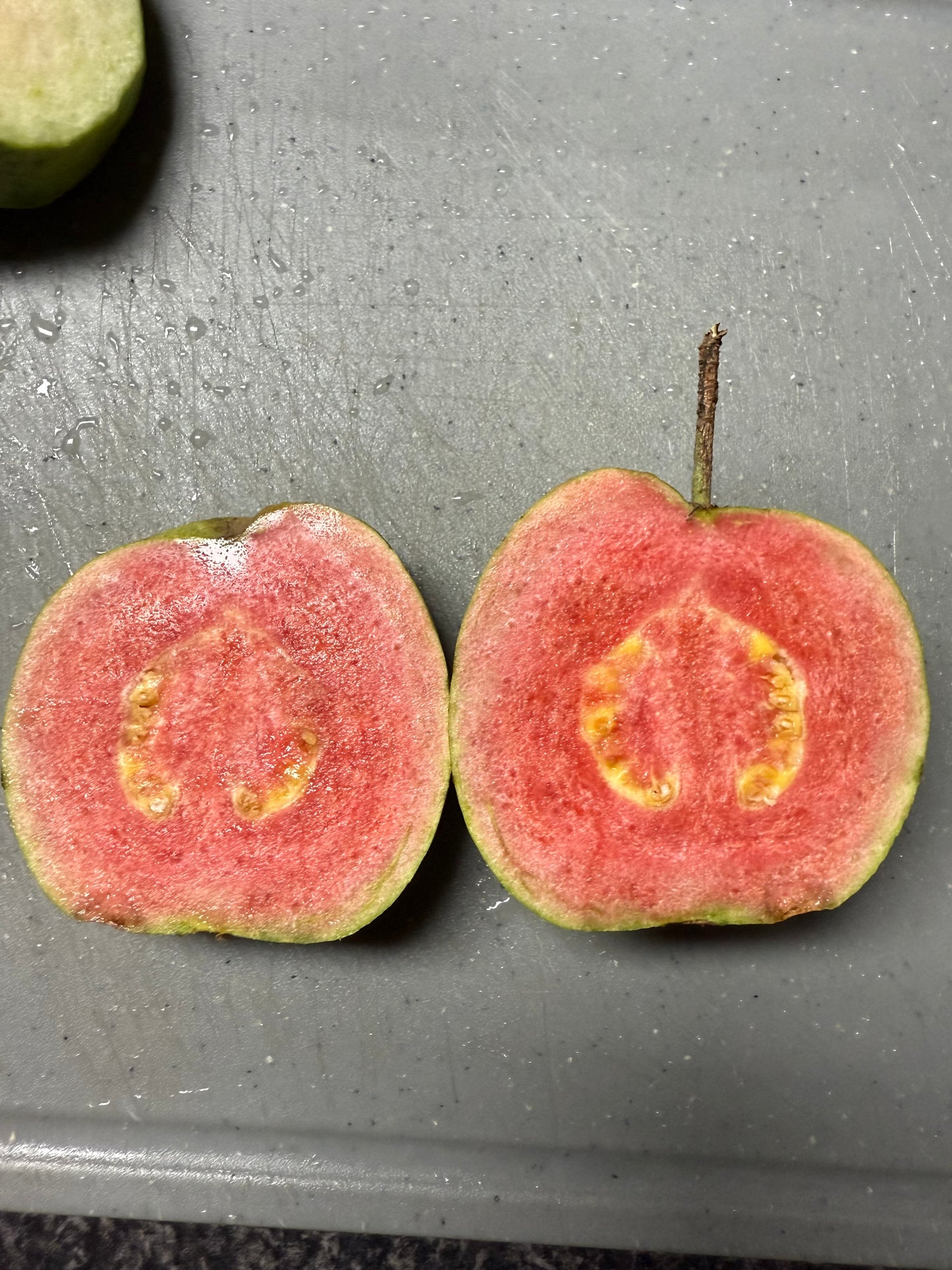 Guava Hawaiian - Ruby