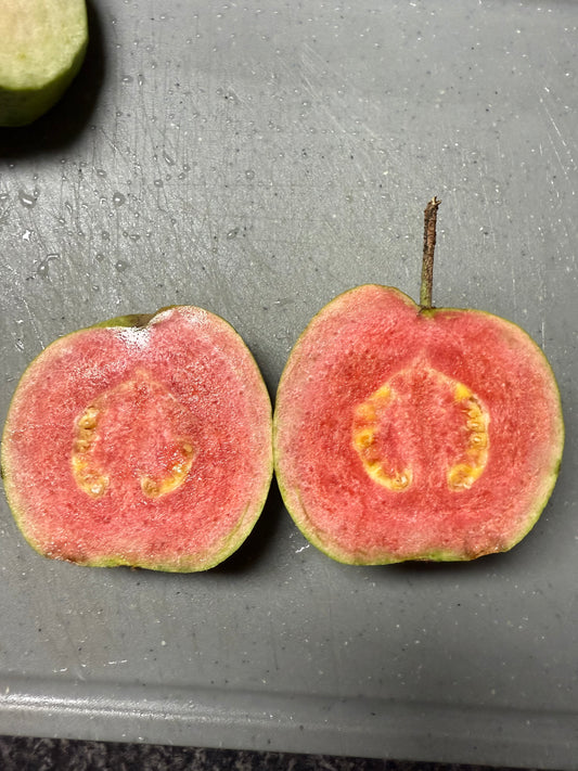 Guava Hawaiian - Ruby