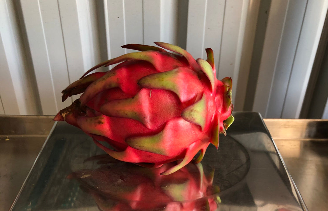 Dragon fruit - Trish