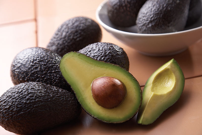 Avocado Dickinson (A Type) 5L
