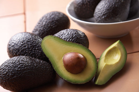 Avocado Dickinson (A Type) 5L