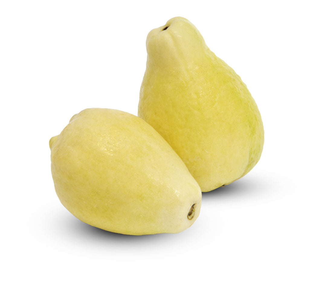 Buy Guava Fruit trees Delivered to your door! Ross Creek Tropicals