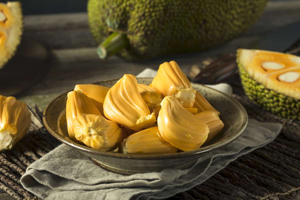 Jackfruit Grafted - Yellow Crunch