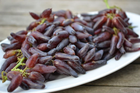 Grape - Black Lady Finger QLD ONLY (BARE ROOT)