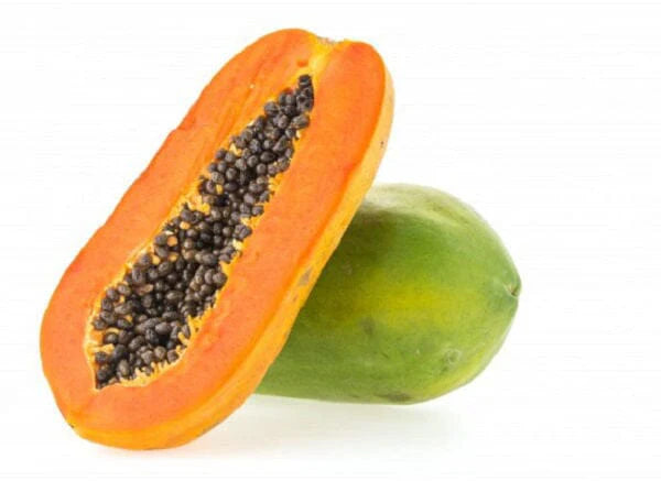 Papaya - Broad leaf