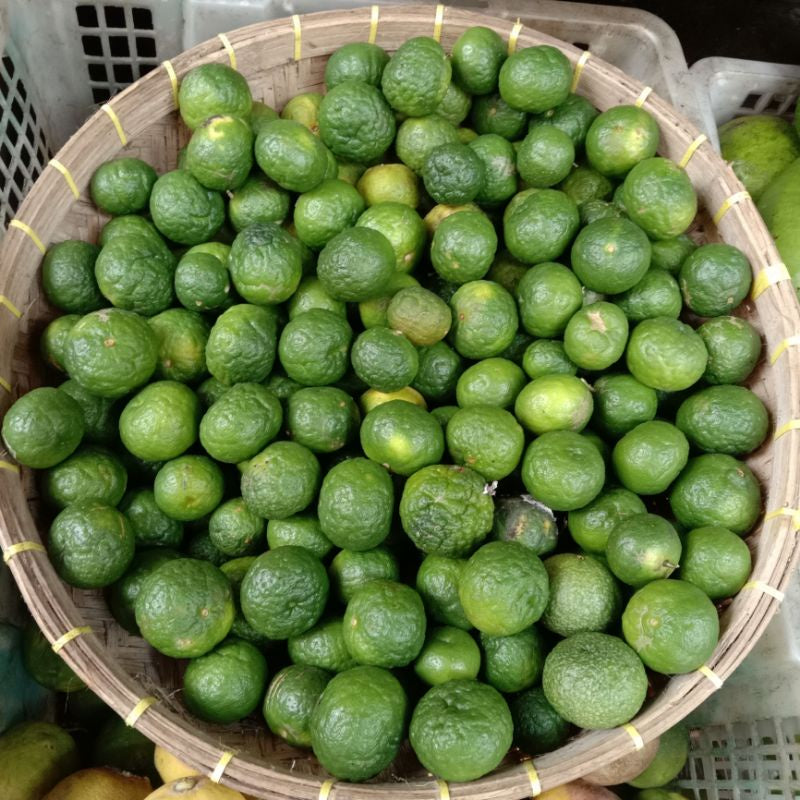Indonesian Lime - Jeruk Limau