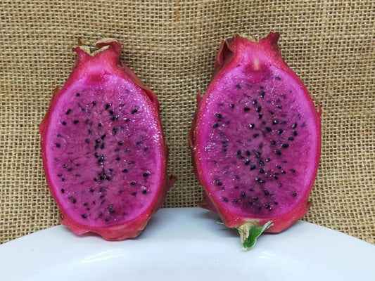 Dragon fruit - Purple Megalanthus