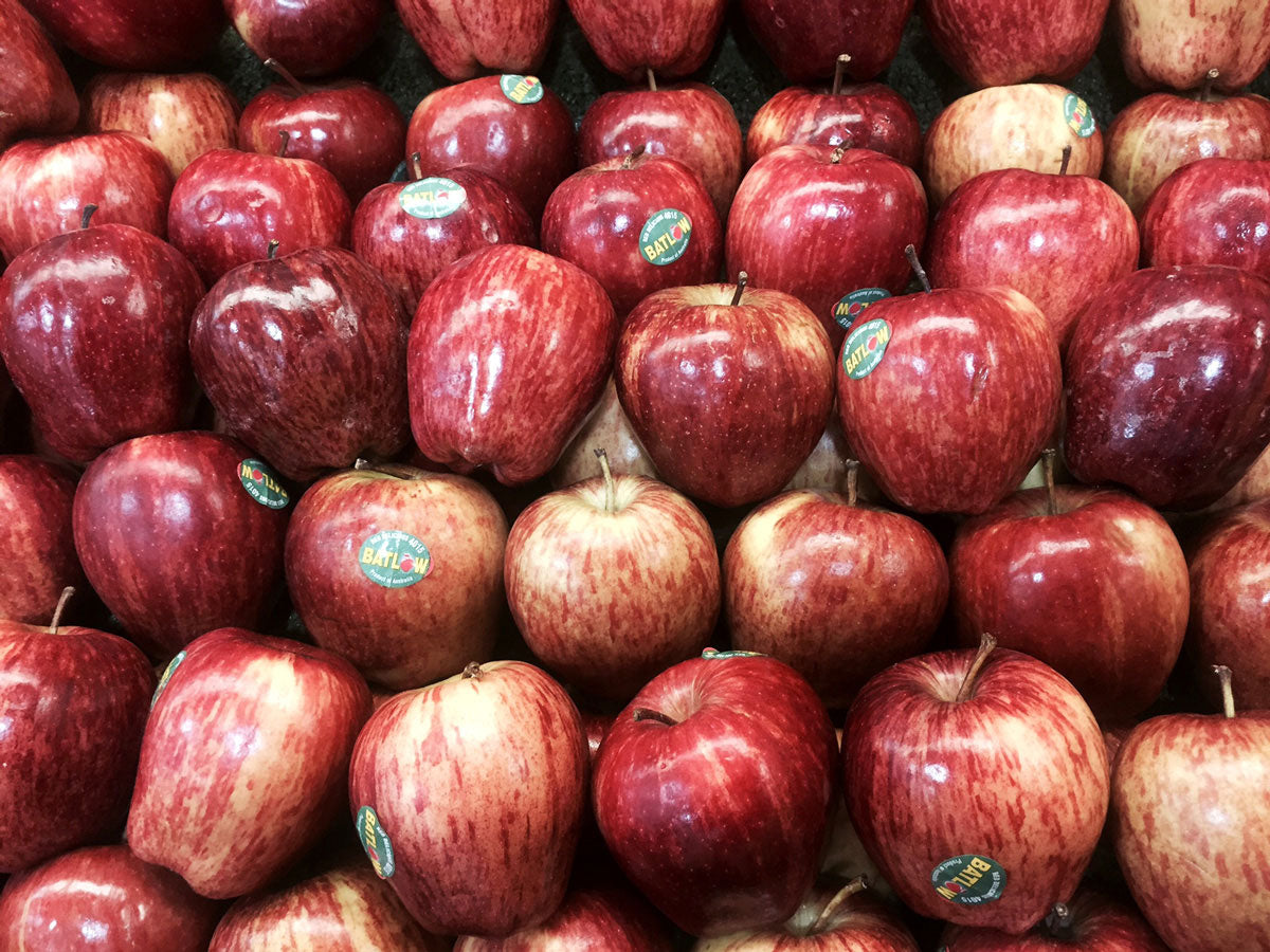 Red Delicious Buy Apple tree -Red delicious β Ross Creek Tropicals