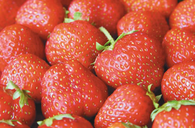Strawberry - Tioga (Bare root)