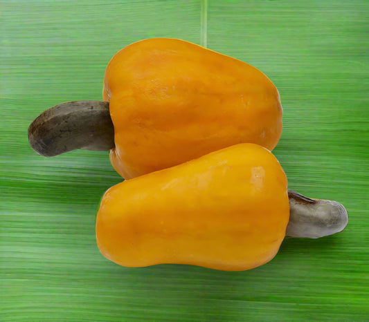 Cashew Nut  2l (Yellow fruit )