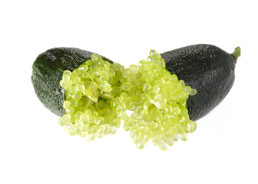 Finger lime Alstonville Grafted (QLD ONLY)