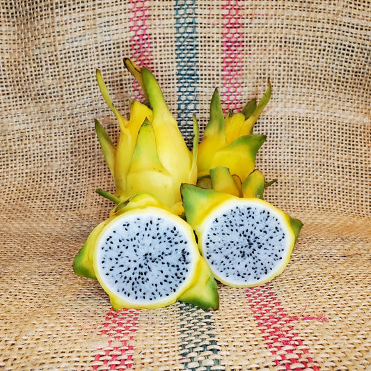 Dragon fruit - Aussie Gold