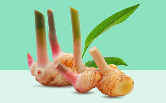 Galangal