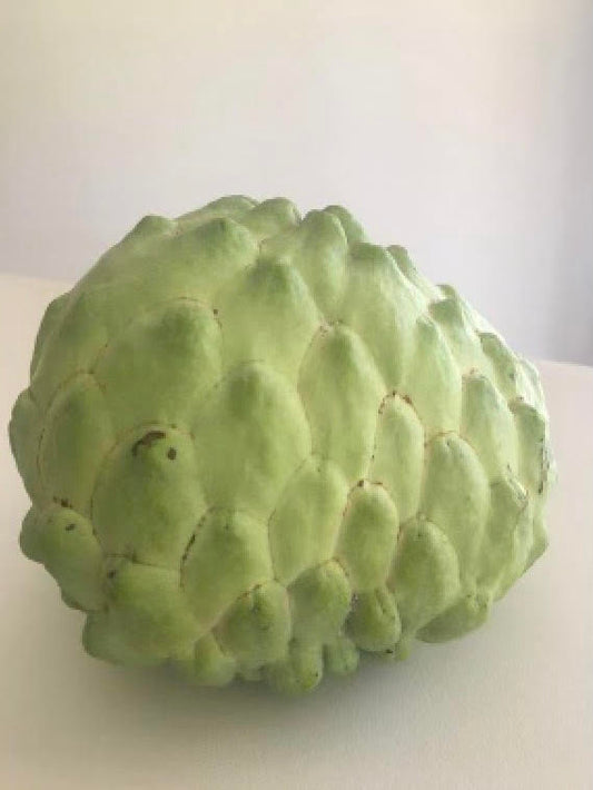 Custard Apple - Golden Emperor